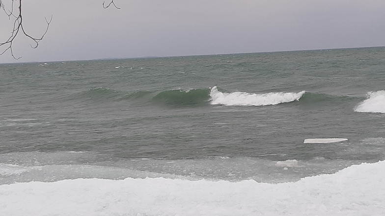 Game on, Presquile Point