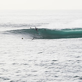 shark island, Cronulla