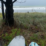 Clean swell on incoming tide, Rabbit Island