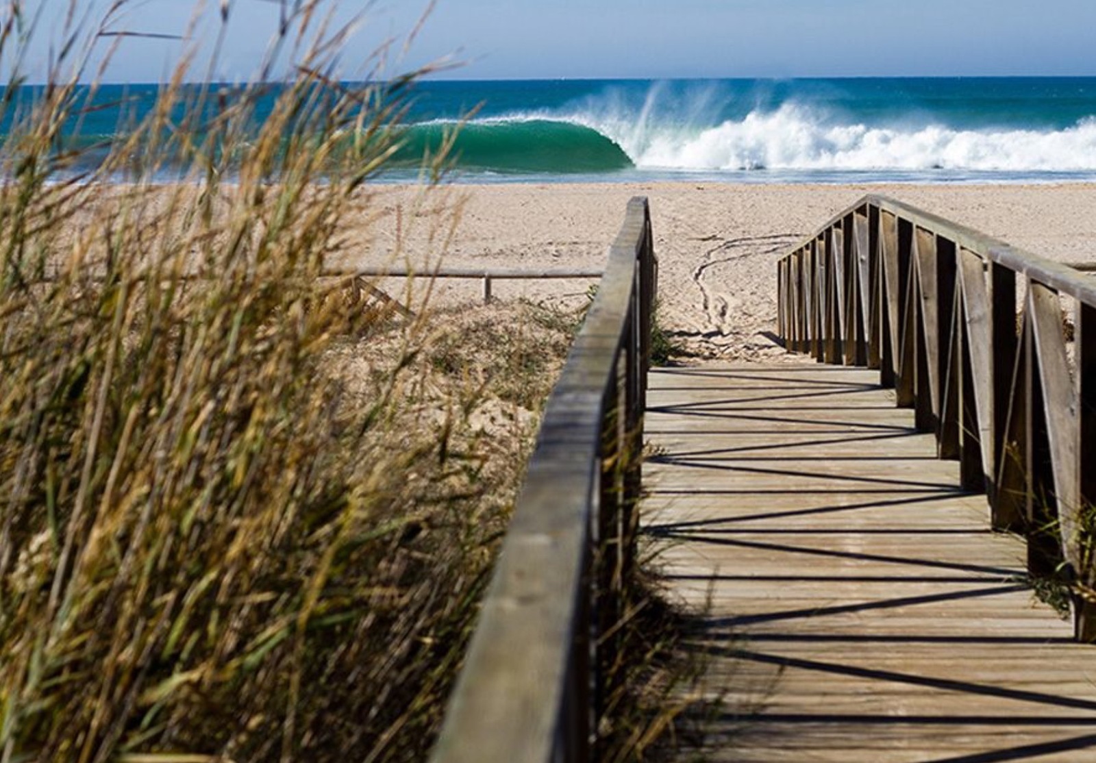 Yago, Playa El Palmar