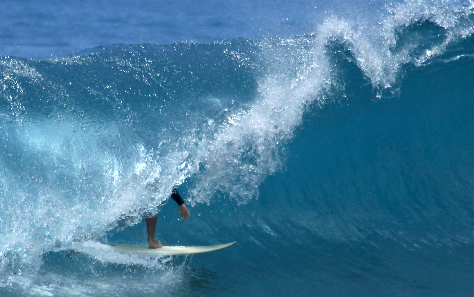 Honls 4-15-11, Waiaha Rivermouth / Honls