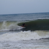 cyclone gaja, Auroville (Pondichery)