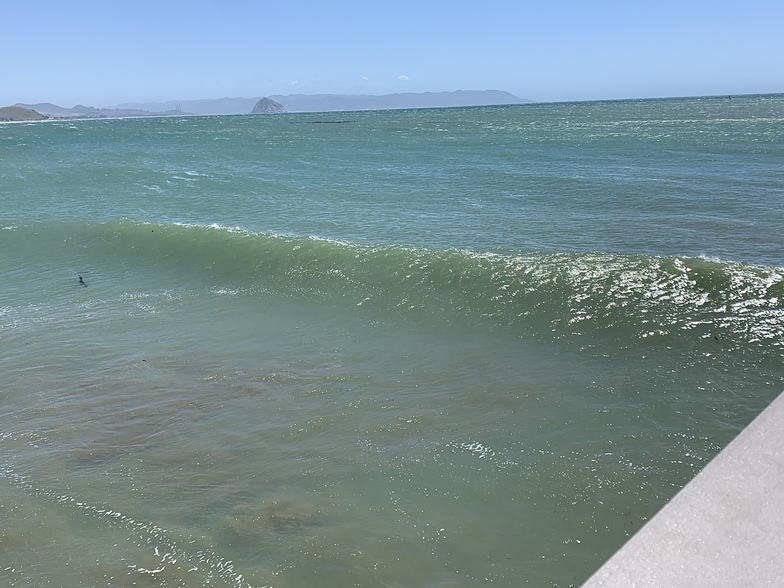 Cayucos pier