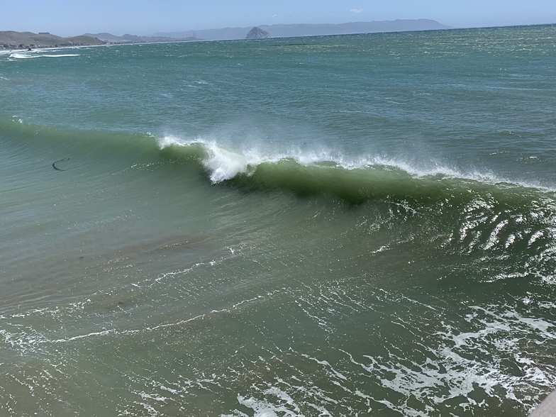 Cayucos pier