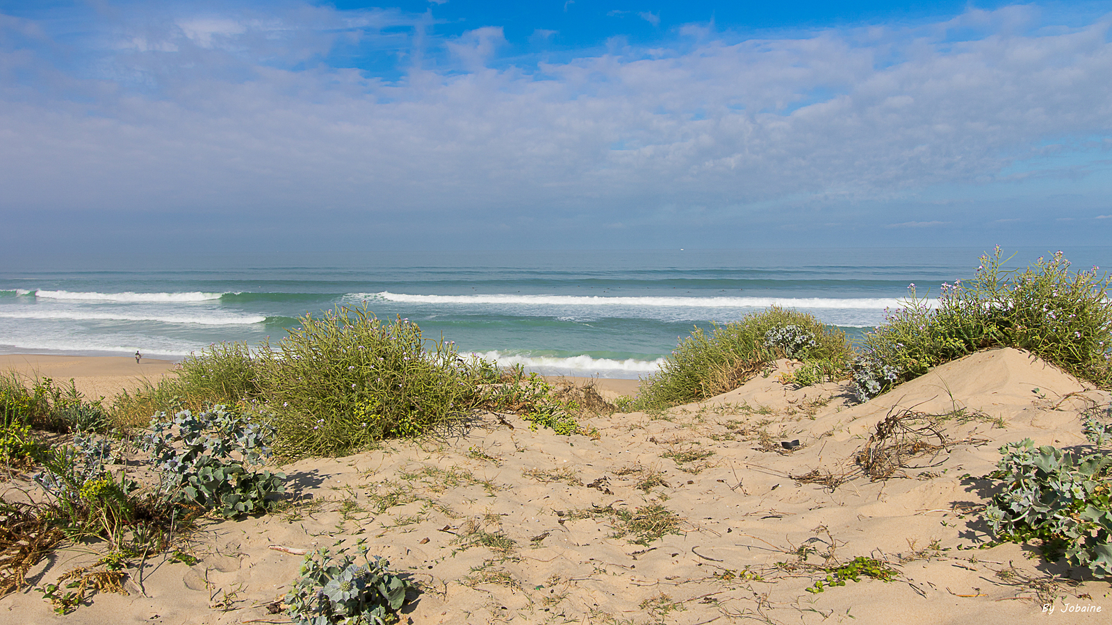 It' s talk about Peace..., Le Porge