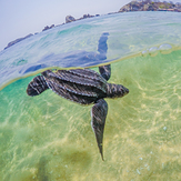 Surf from san agustin huatulco oaxaca, San Augustin