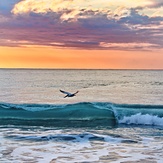 Surf from san agustin huatulco oaxaca, San Augustin