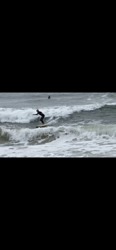 Surfing a Fish, Outside Ponquogue photo