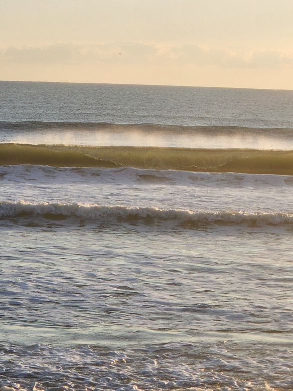 Lil tube, Daytona Beach