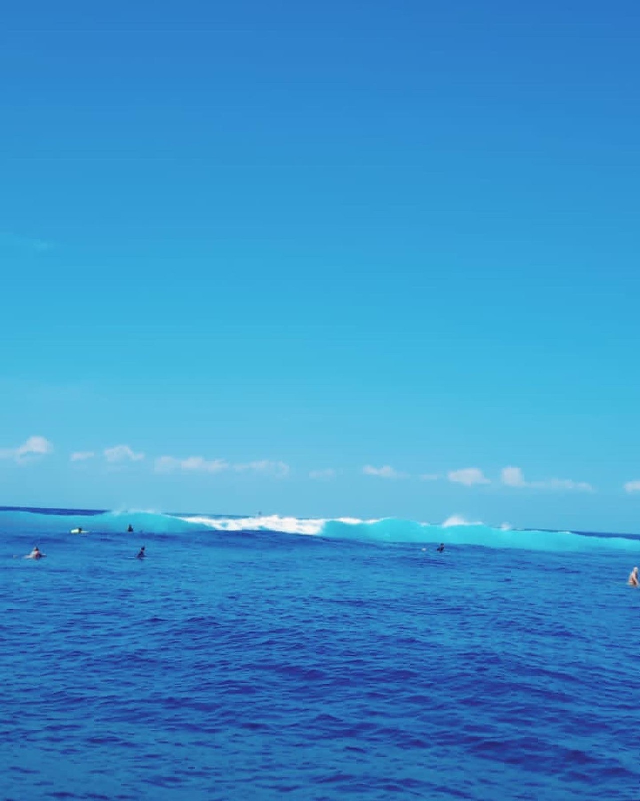 Starflex surfboards, Urca da Conceicao