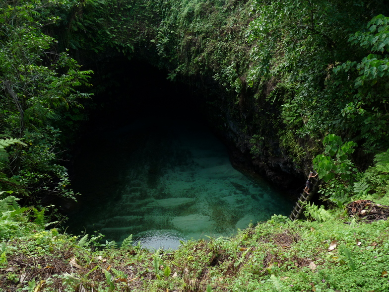 Te Sua Trench, Salani