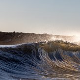 Golden Pounder, Virginia Beach