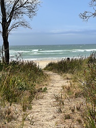 Track to Cape Conran beach photo