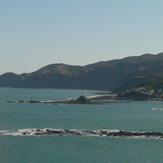 Taputeranga Island, The Island (Island Bay)