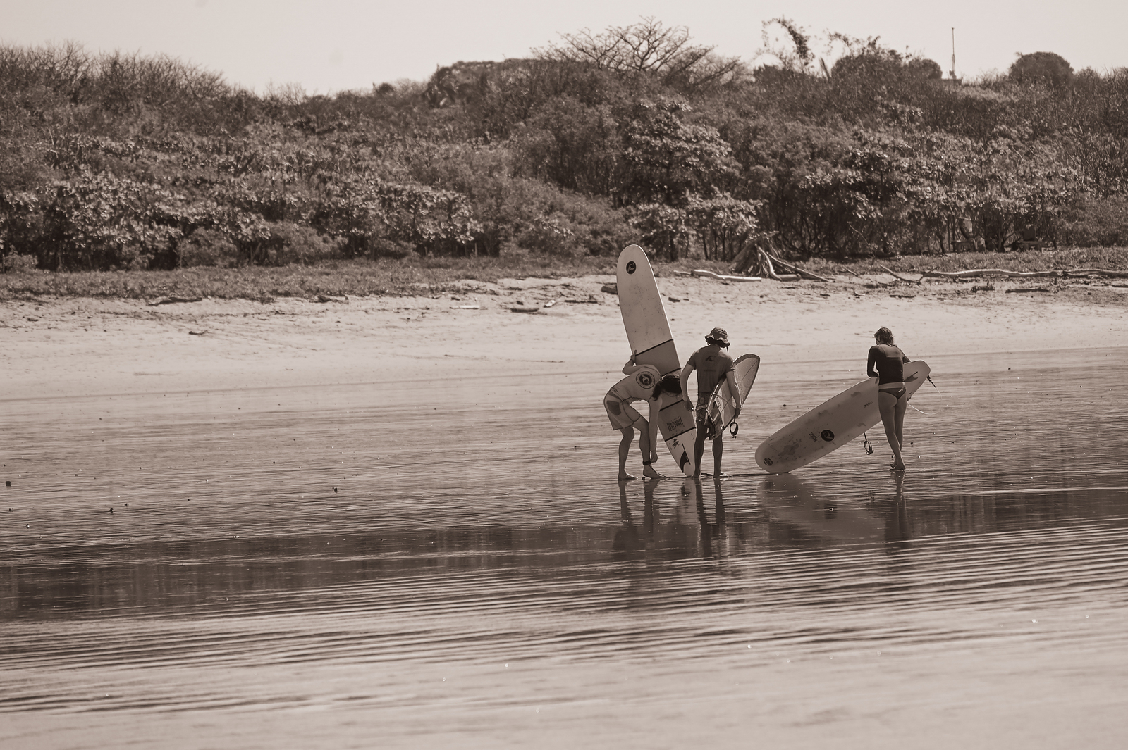 Getting it all together., Guiones