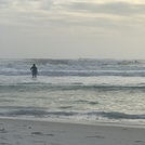 Surfers Paradise, St Andrews State Park