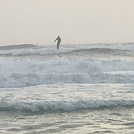 Surfers Paradise, St Andrews State Park