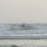 Surfers Paradise, St Andrews State Park