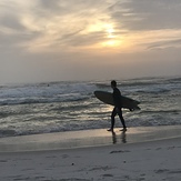 Surfers Paradise, St Andrews State Park