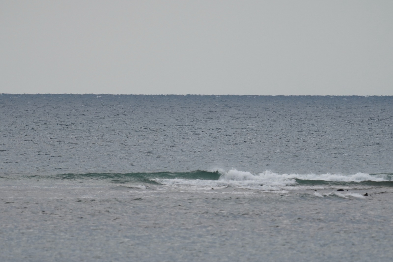 kaylan /phuket, Nai Yang Reef - Airport Reef
