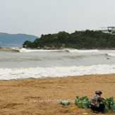 Nha Trang City, Bai Dai Nha Trang