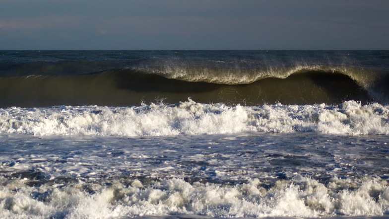 Barrels, Beauregard