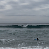 barreled at mutts, Mutton Bird Beach