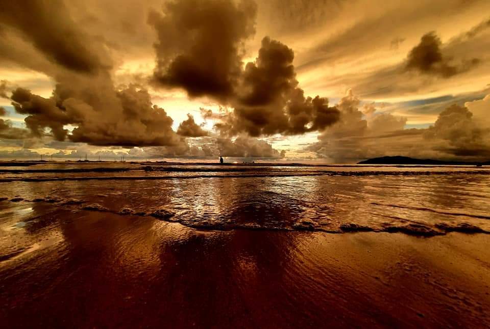 Tama suset, Tamarindo