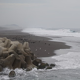Waves in Beach Campos, Campos at Manzanillo