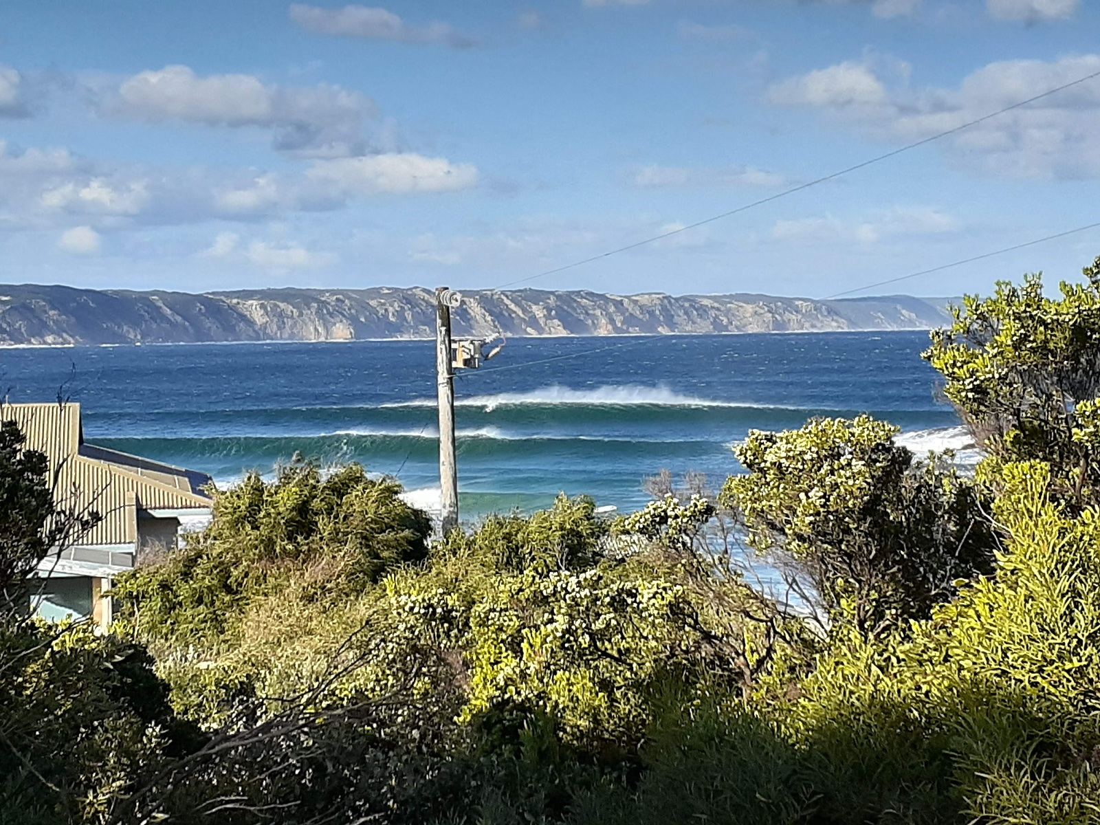 what a day photo taken by Sean Lennon, Ocean Beach