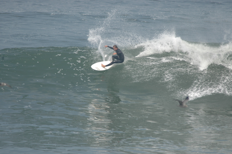 Punta Rocas surf break