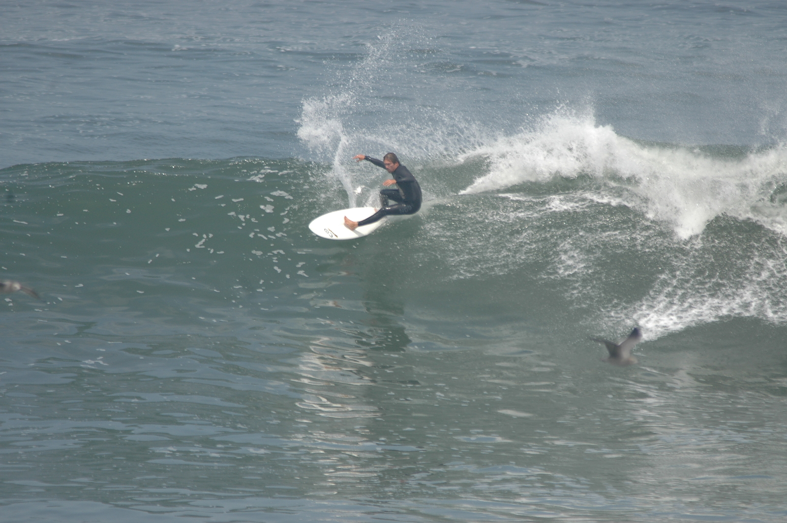 ESCÓSSIA, Punta Rocas