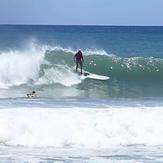 Papa Oso, Playa Remonso