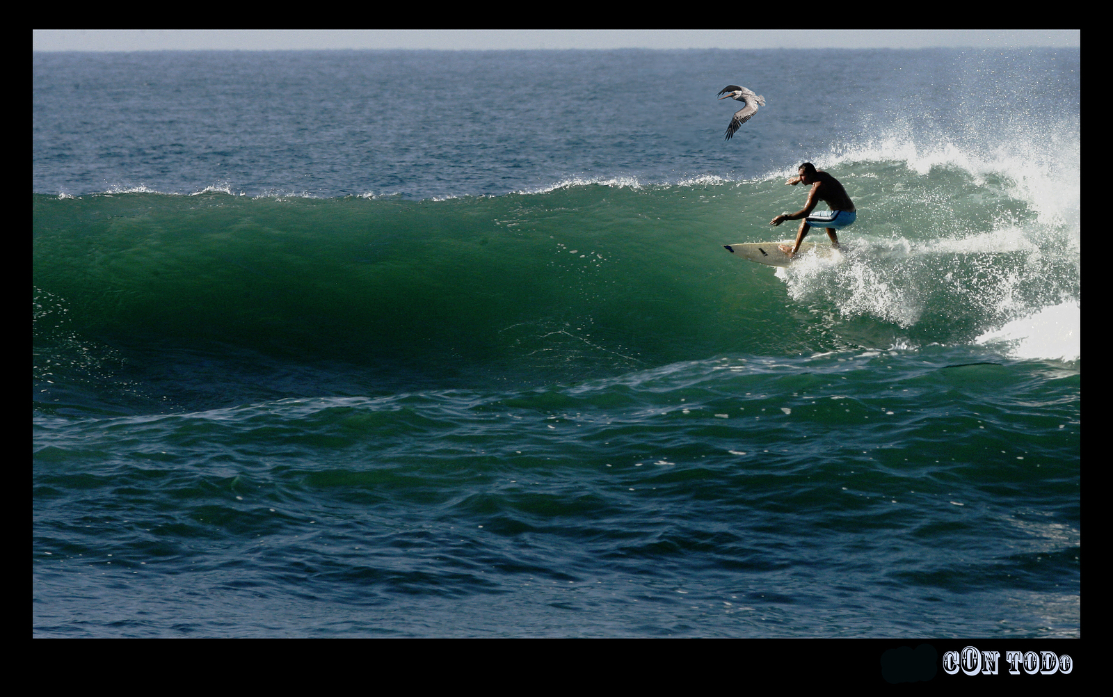 Peace of Mind, El Zunzal