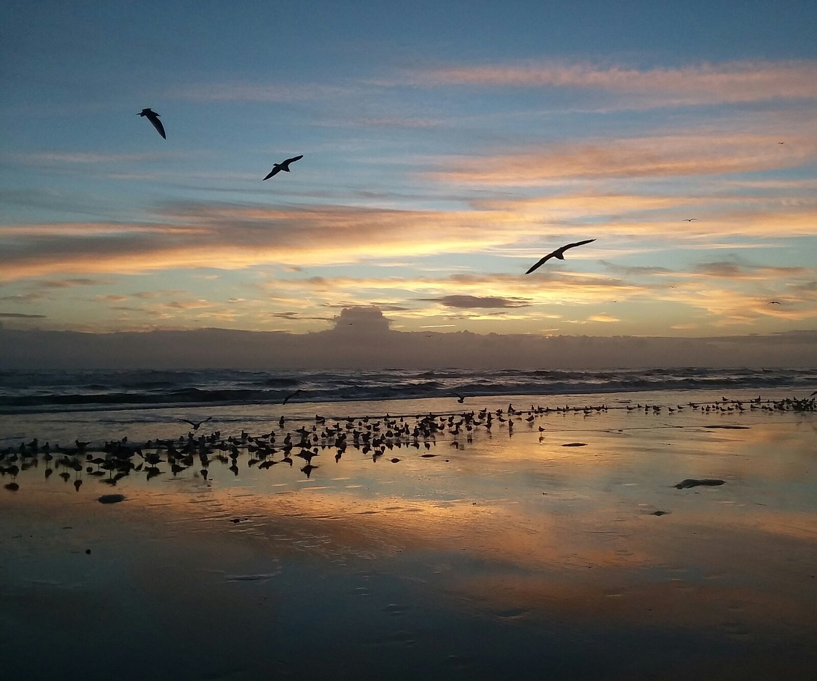 Dawn on Daytona Beach
