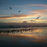 Dawn on Daytona Beach