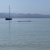 Small reef, Oldshoremore