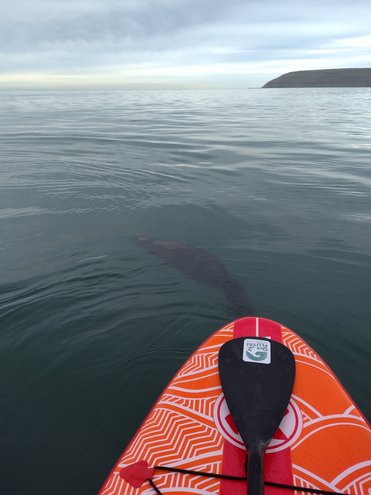 Que Fluya! Surf and Sup en Rada Tilly