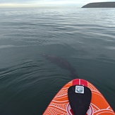 Que Fluya! Surf and Sup en Rada Tilly