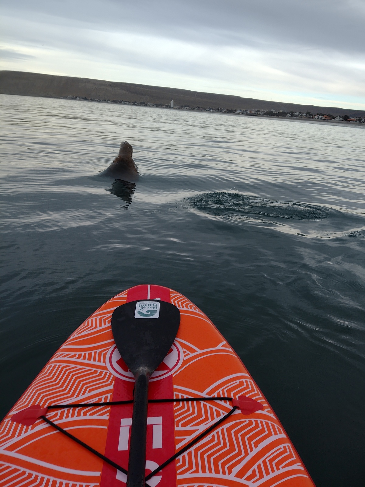 Que Fluya! Surf and Sup en Rada Tilly