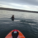 Que Fluya! Surf and Sup en Rada Tilly