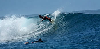 One of the most perfect, machine-like waves on Earth, Restaurants