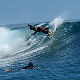 One of the most perfect, machine-like waves on Earth, Restaurants