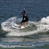 Tuesday Surfing, Manasquan Inlet