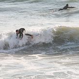 Grooms, La Playita