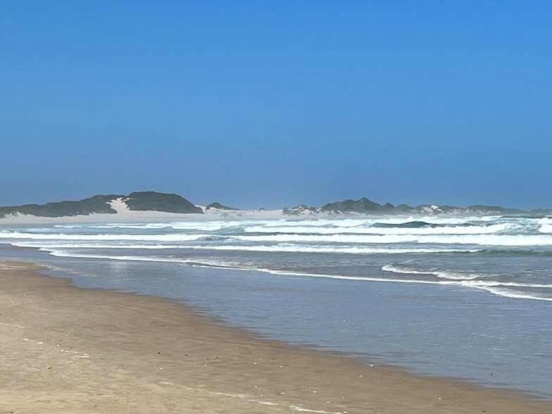 Seal Point surf break