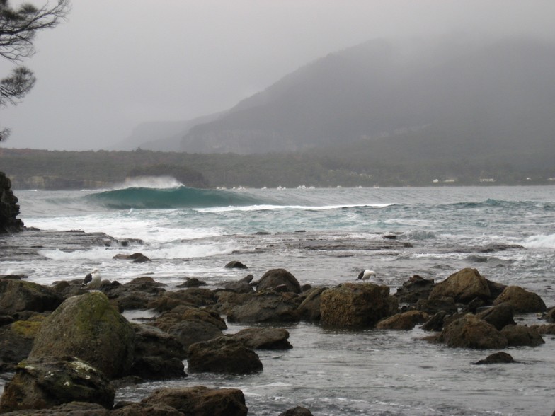 Eaglehawk Neck Reef surf break