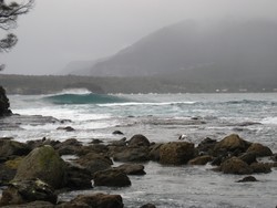 The Reef, Eaglehawk Neck Reef photo