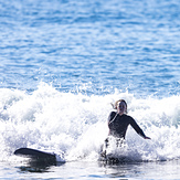 Surfers having fun., Indian Beach/Ecola State Park