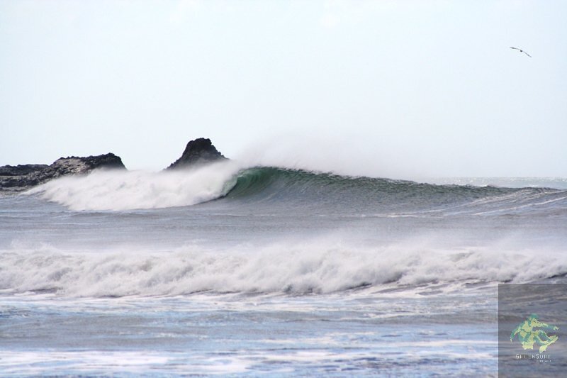 Classic Transito Left, El Transito